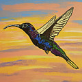 Bird of Beauty, Superwoman